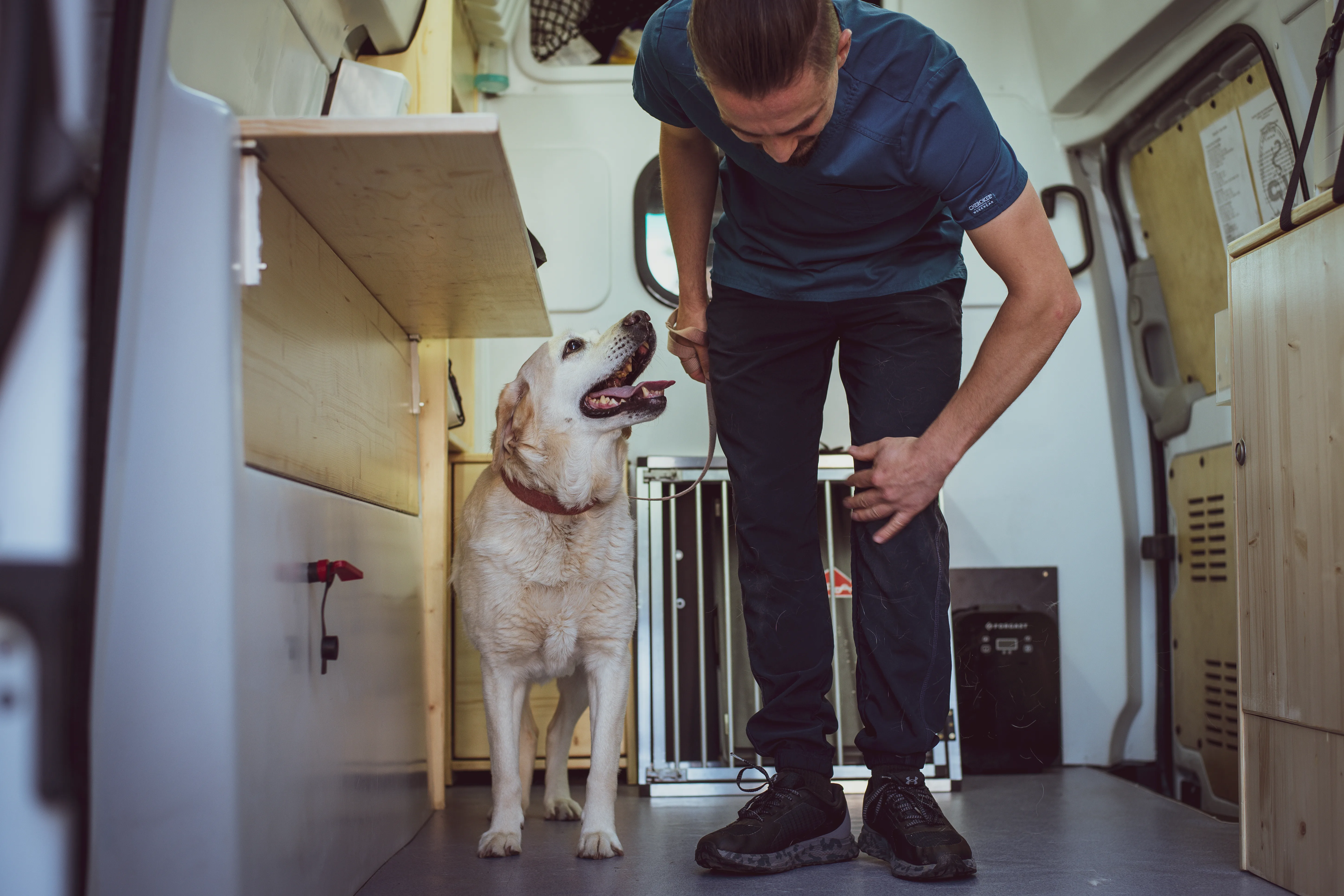 Medic veterinar real alături de un câine în interiorul unității Mobilis Vet.